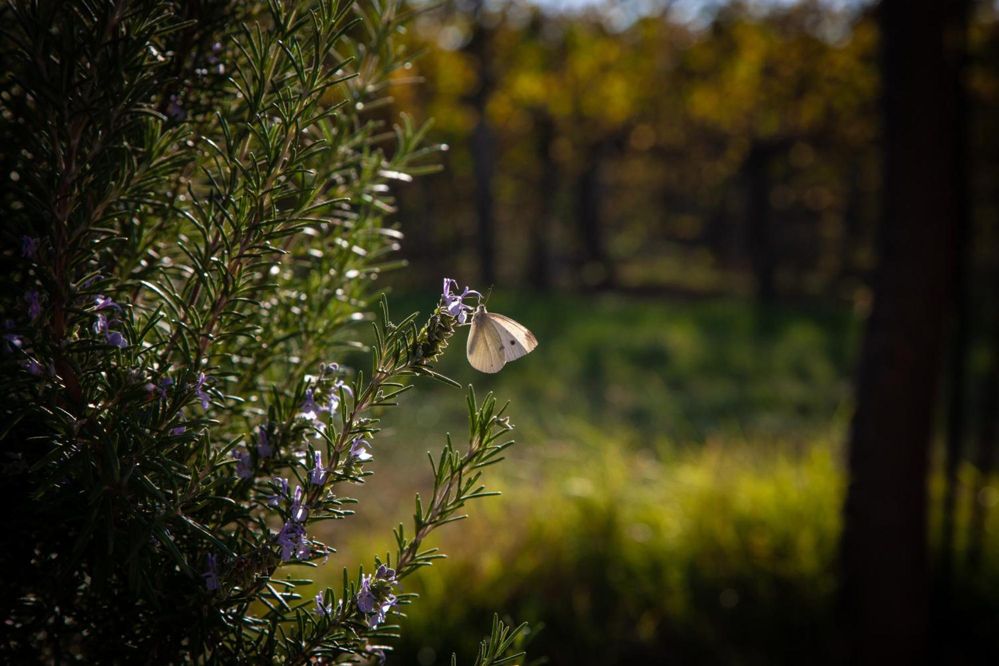 Le Stanze Di Bacco Villa Monteveglio ภายนอก รูปภาพ